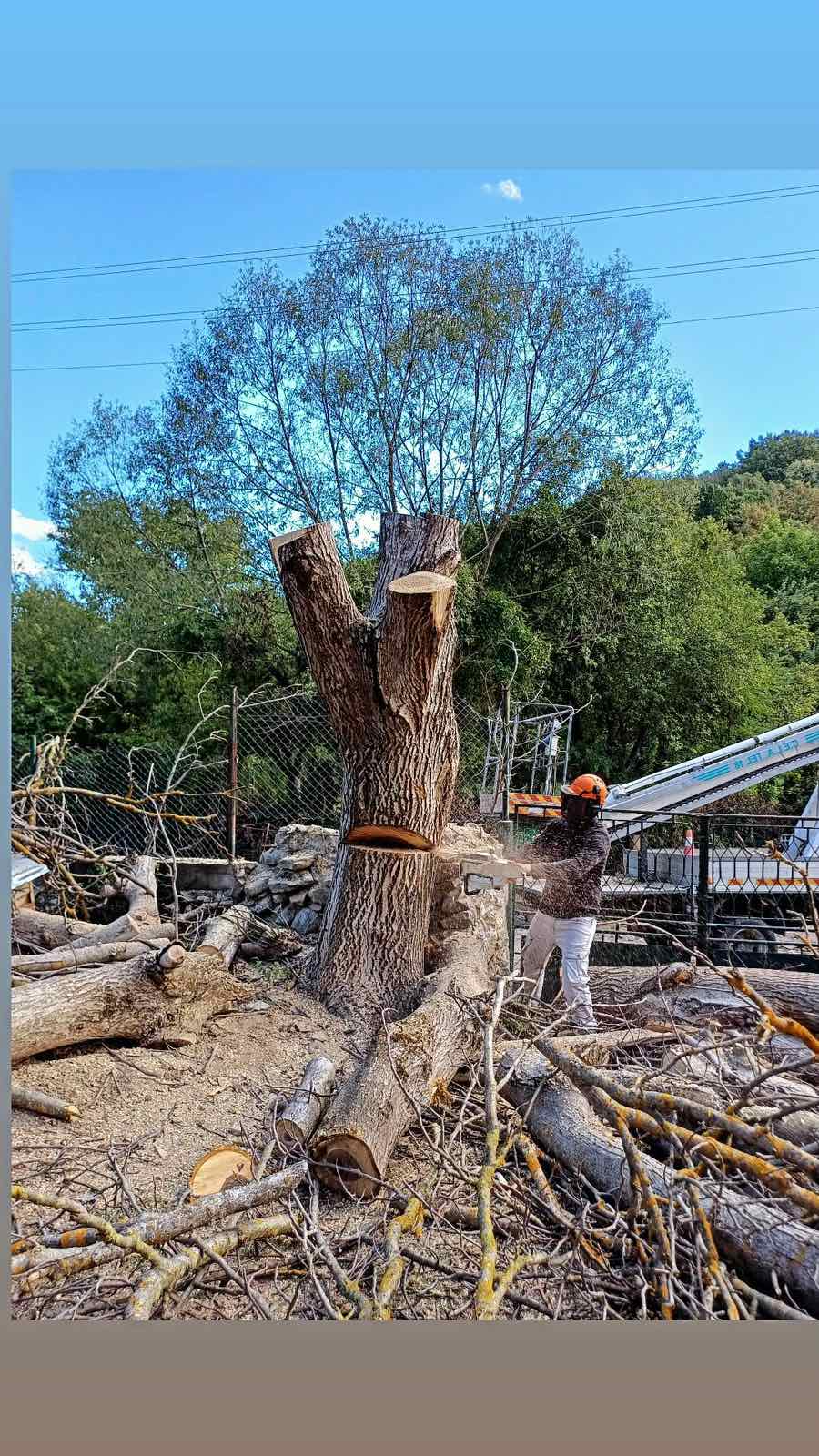 Рязане на ствол