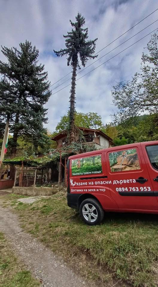 Почистване двор