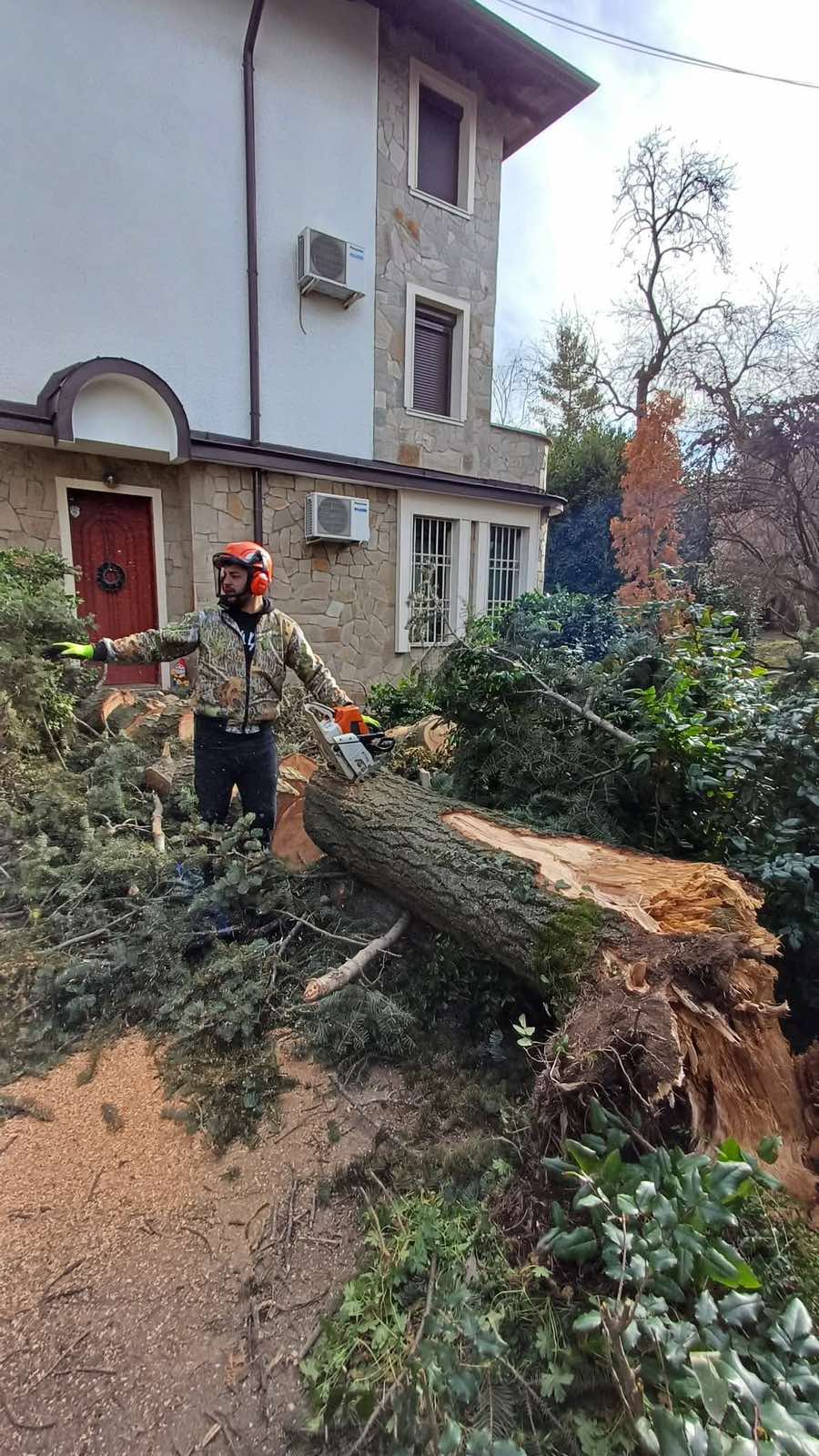 Арборист с трион