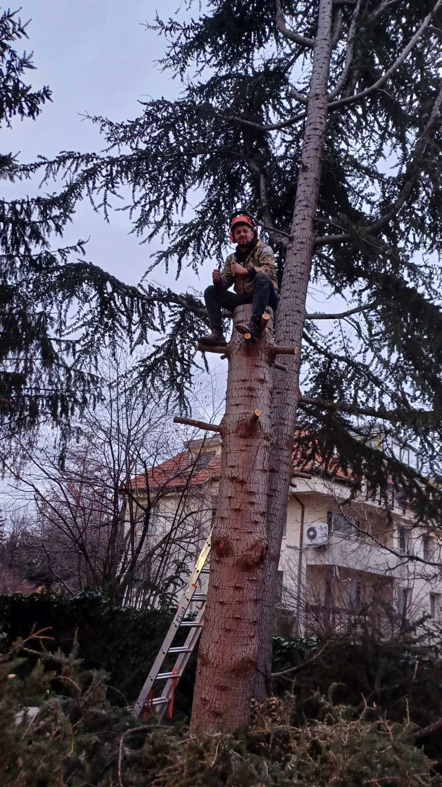 Катерене сутринта