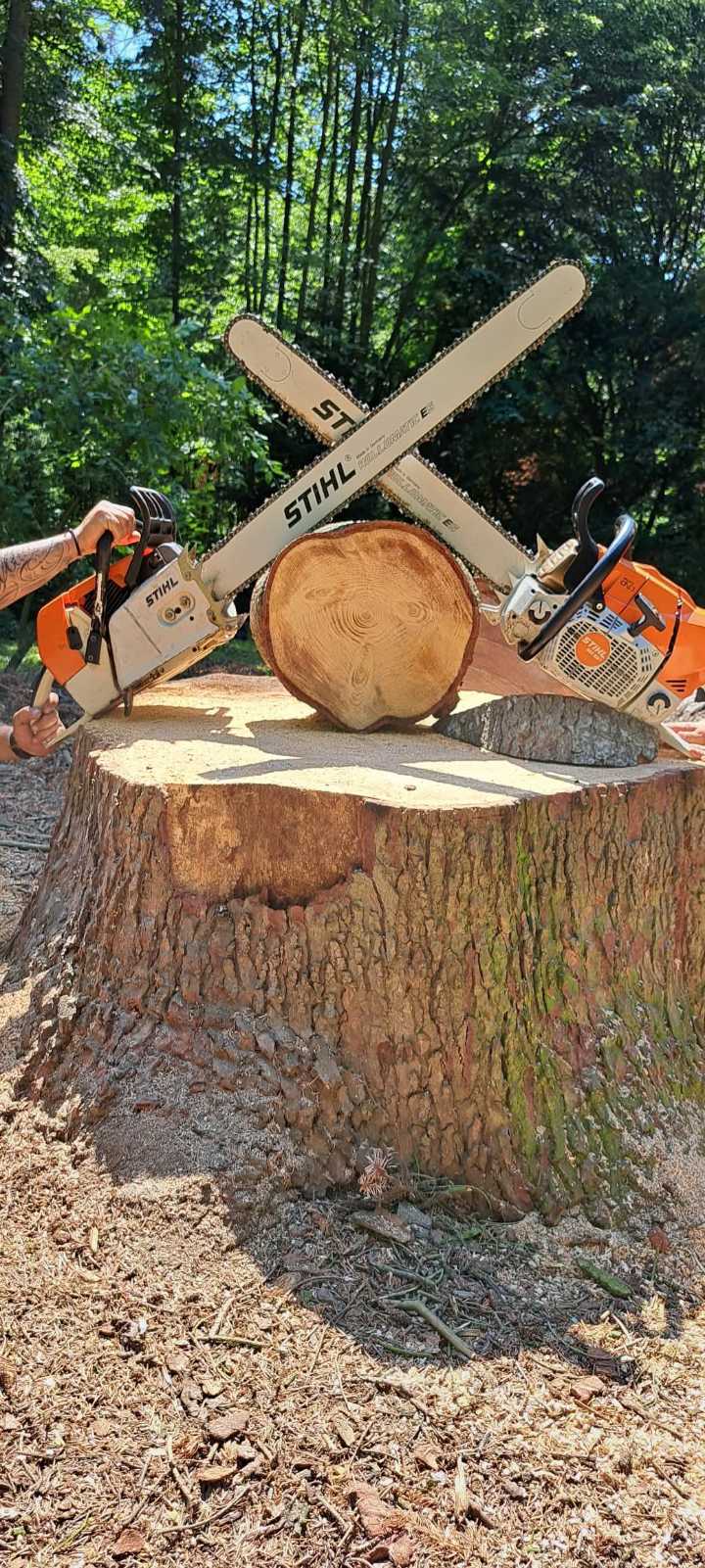 STIHL триони
