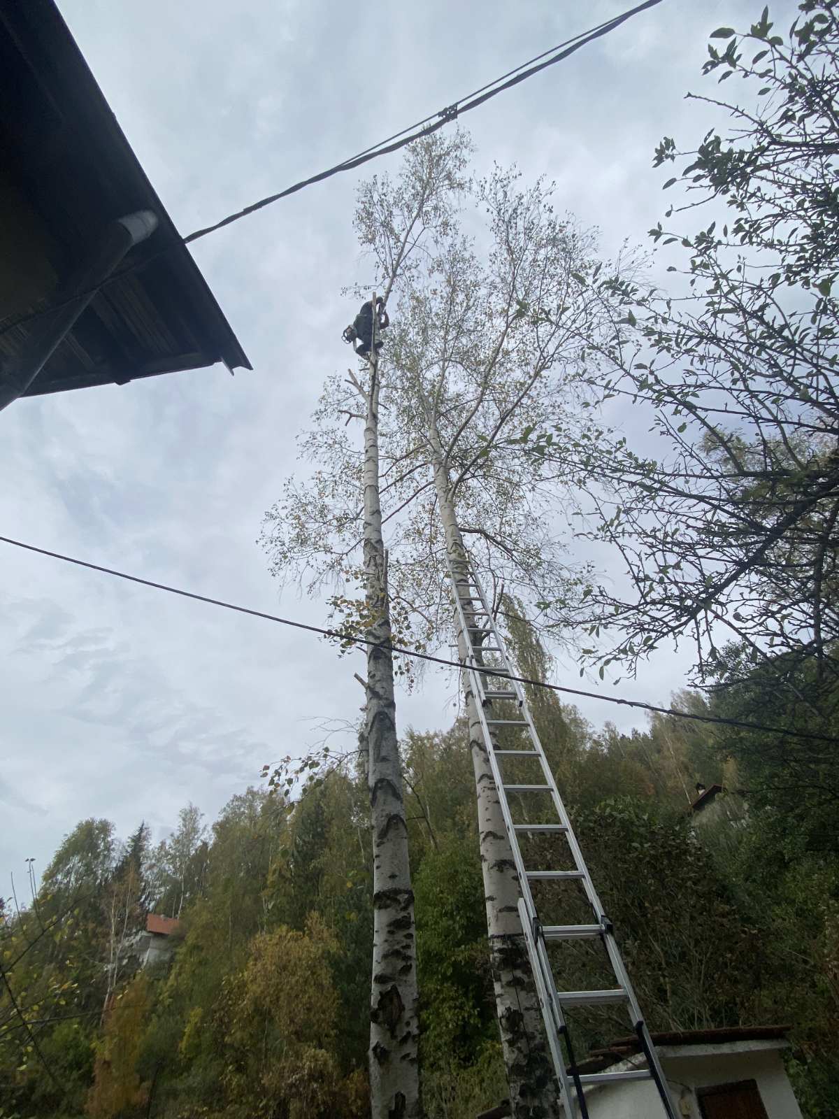 Катерене без техника